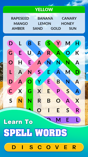Word Search